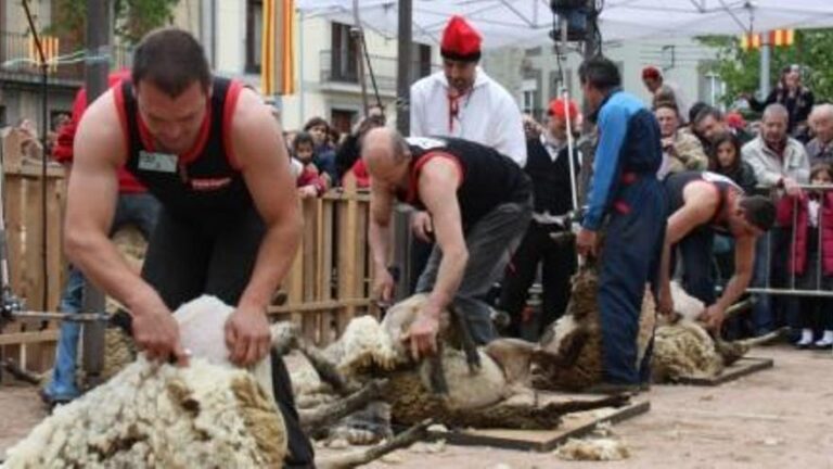 La Festa de la Llana – Horaris