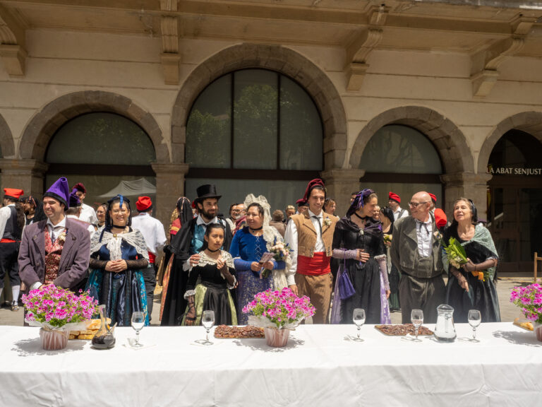 Amb l’ull posat a la 60ena edició de la Festa de la Llana i Casament a Pagès