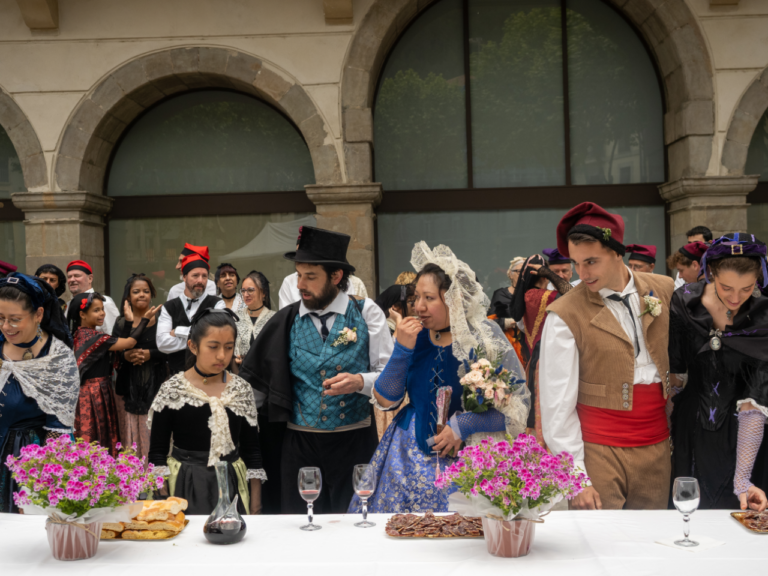 La Festa Nacional de la Llana i el Casament a Pagès 2026, en imatges